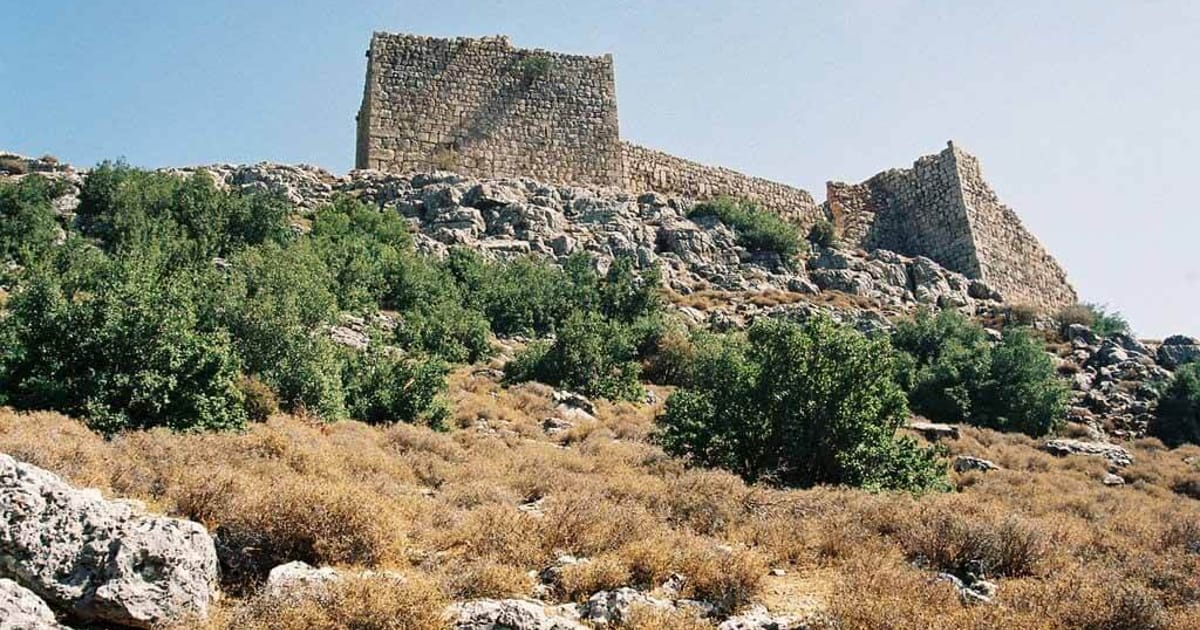 قلعة برزية