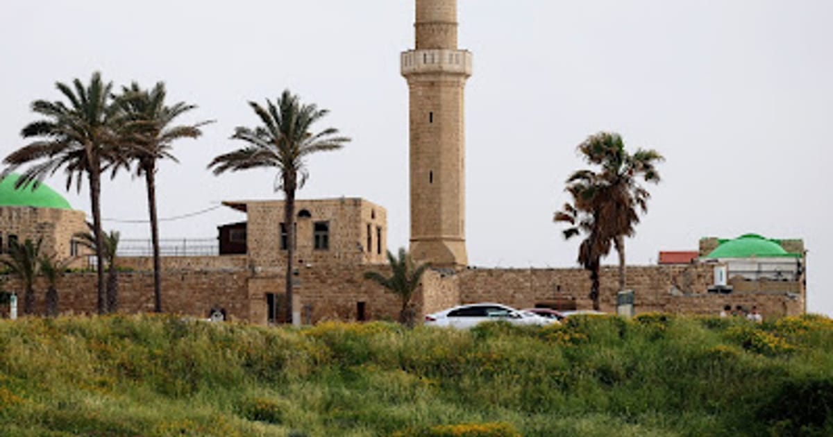 مسجد سيدنا علي