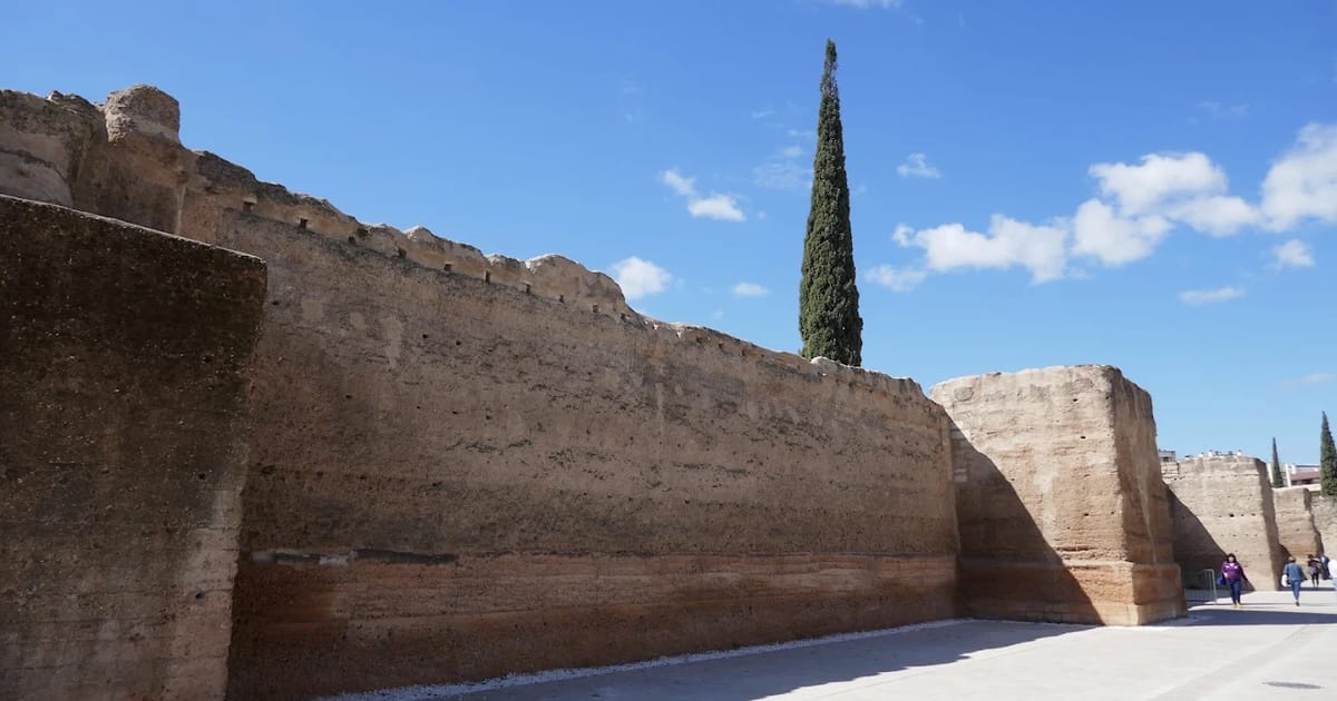 سور ماروبيال